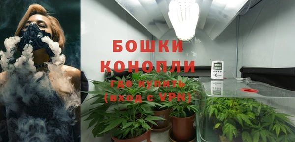 прущие крисы Козловка
