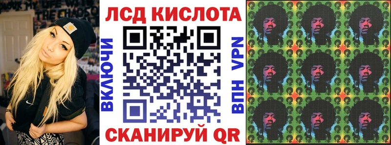 Купить закладки  Фокино  Марки N-bome 1,5мг 