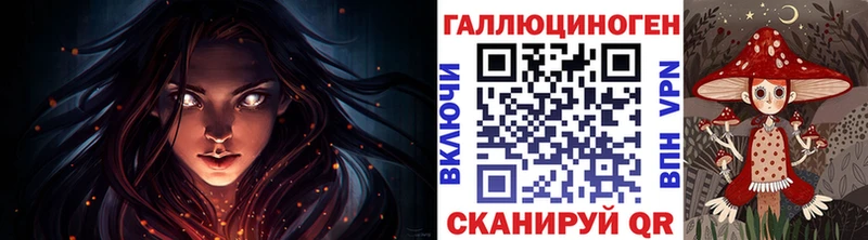 Купить  Фокино  Галлюциногенные грибы Psilocybe 